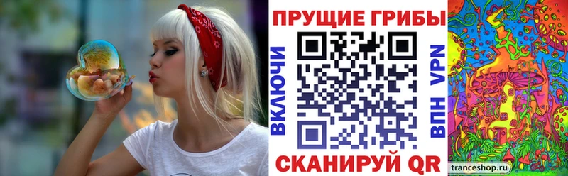 shop официальный сайт закладки Михайлов Галлюциногенные грибы Psilocybe