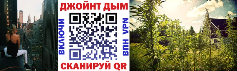 Шишки марихуана OG Kush Михайлов